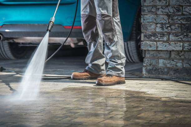 Best Sidewalk and Walkway Cleaning  in Andusia, AL