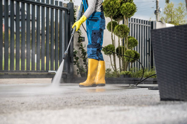 Animal Enclosure Cleaning in Andalusia, AL